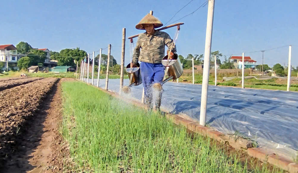 Năm mới, khí thế mới