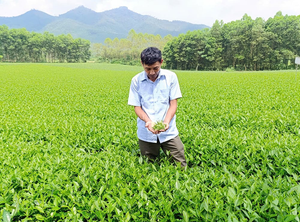 Đưa sản phẩm làng nghề vươn xa