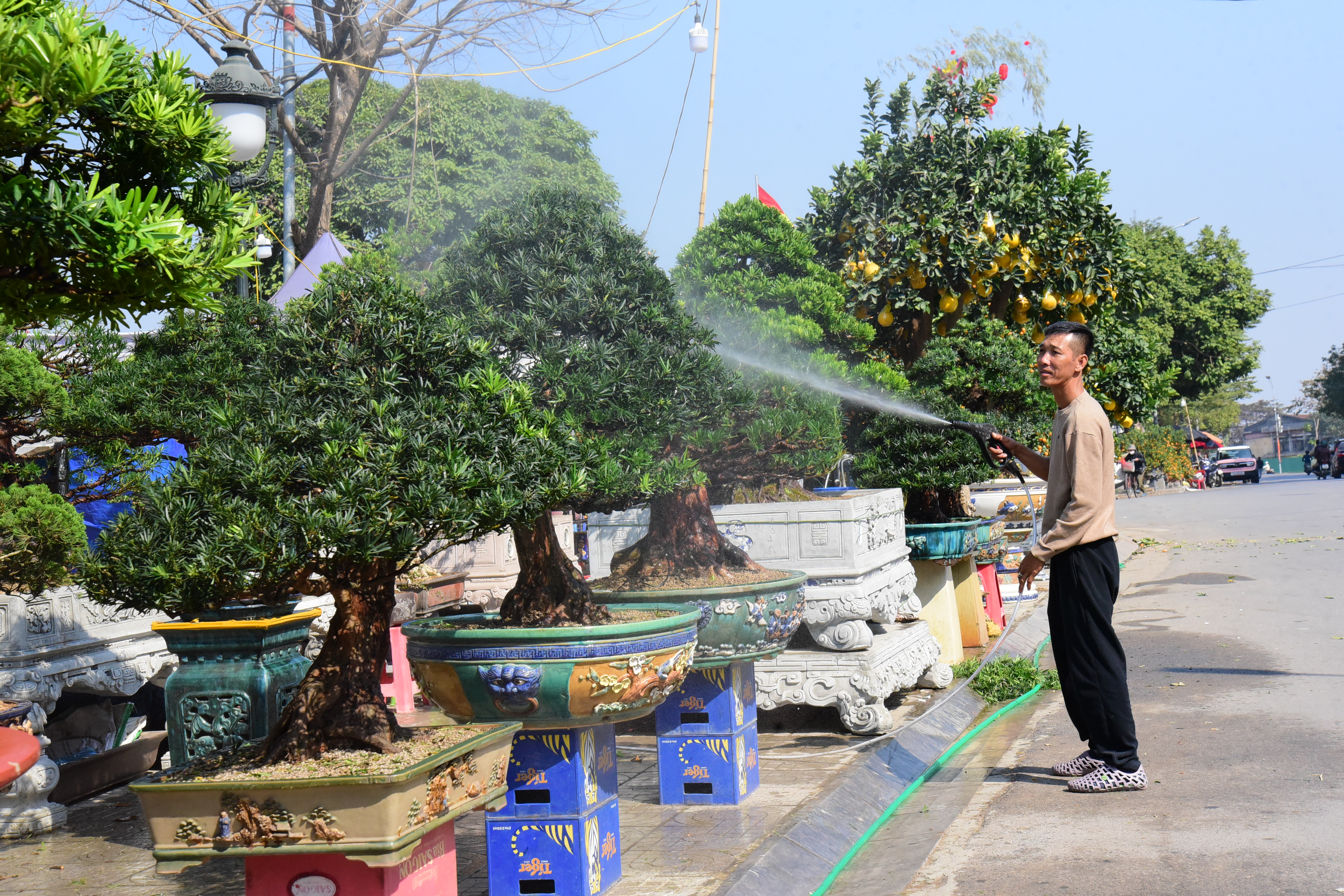 Rực rỡ chợ hoa ngày Tết