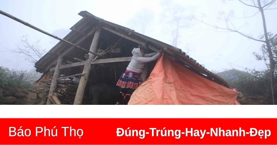 Khu vực Tây Bắc Bắc Bộ có nơi dưới 9 độ C