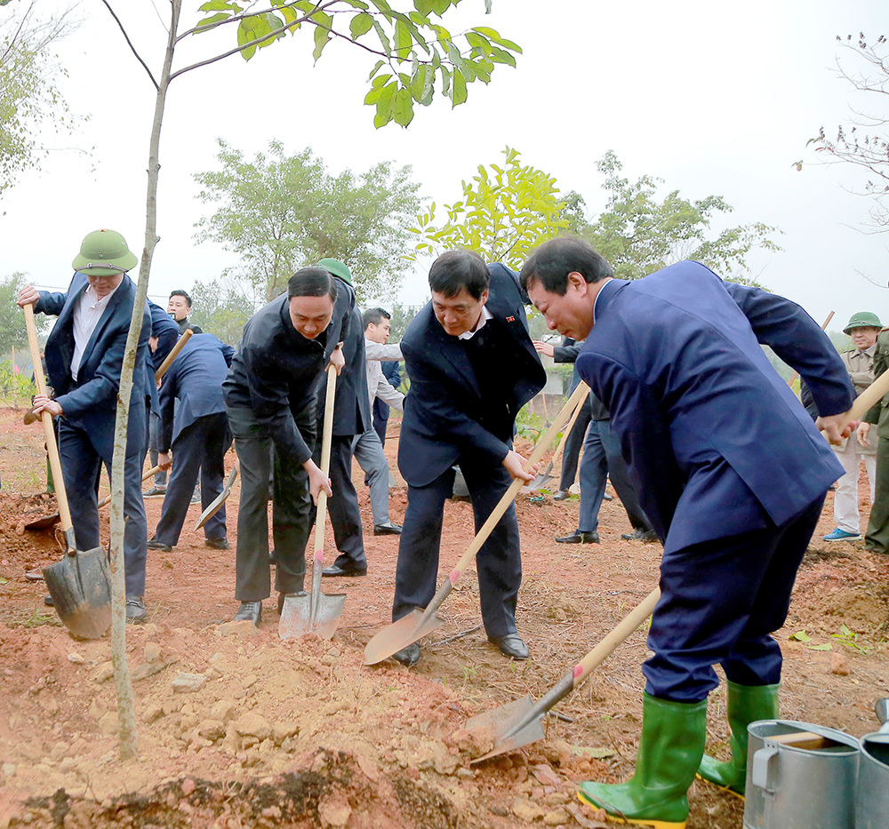 Phú Thọ phát động “Tết trồng cây đời đời nhớ ơn Bác Hồ” Xuân Ất Tỵ