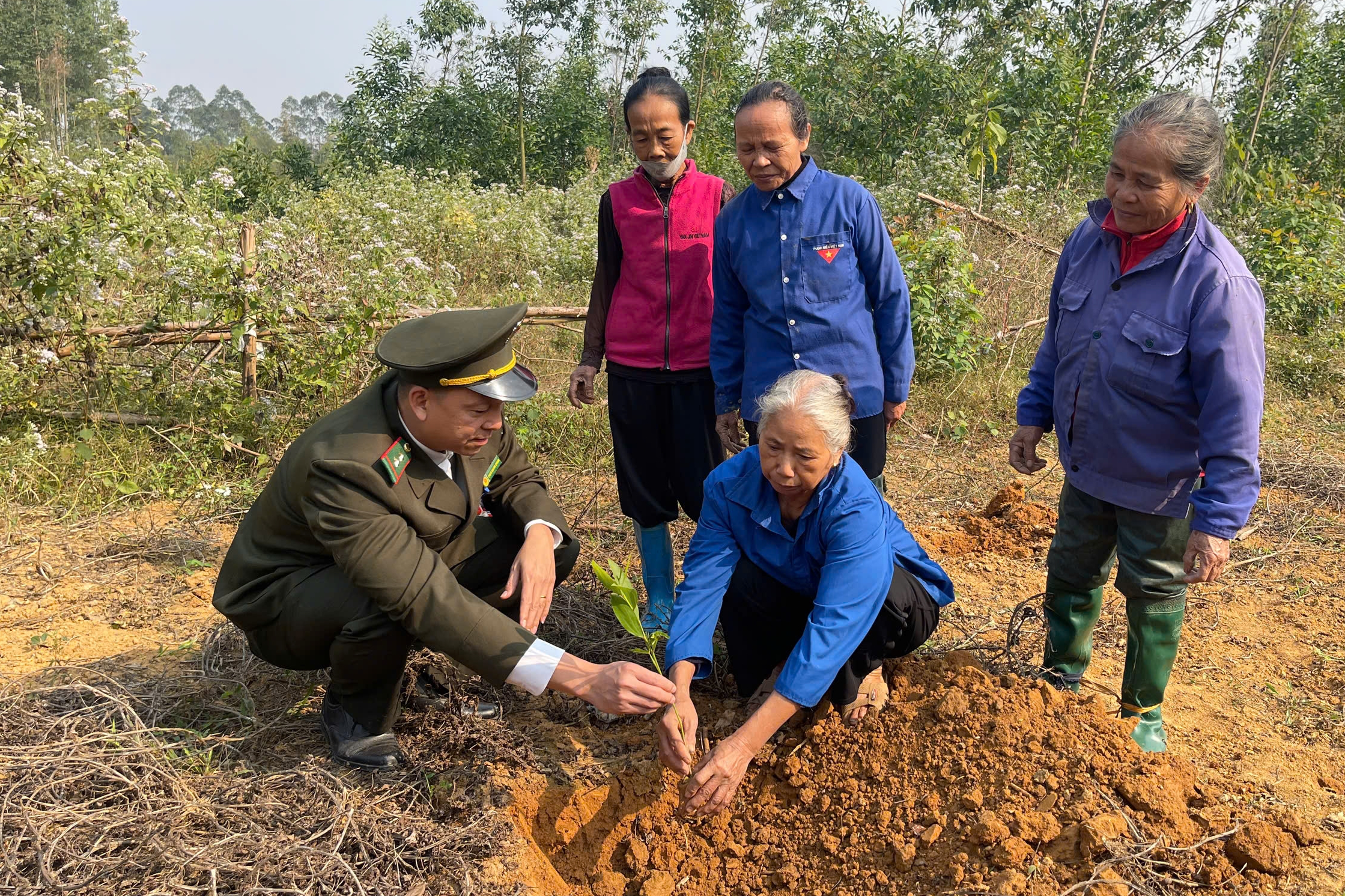 Rừng Đất Tổ xanh mãi