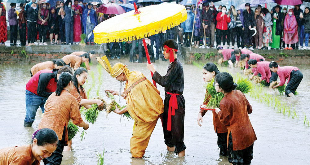 Brilliant Spring Festival of the Ancestral Land