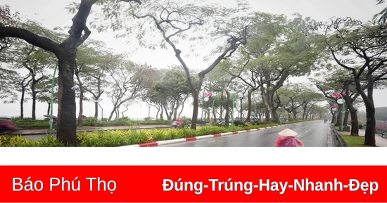 Bắc Bộ sương mù kéo dài, hiện tượng nồm ẩm sẽ sớm xuất hiện