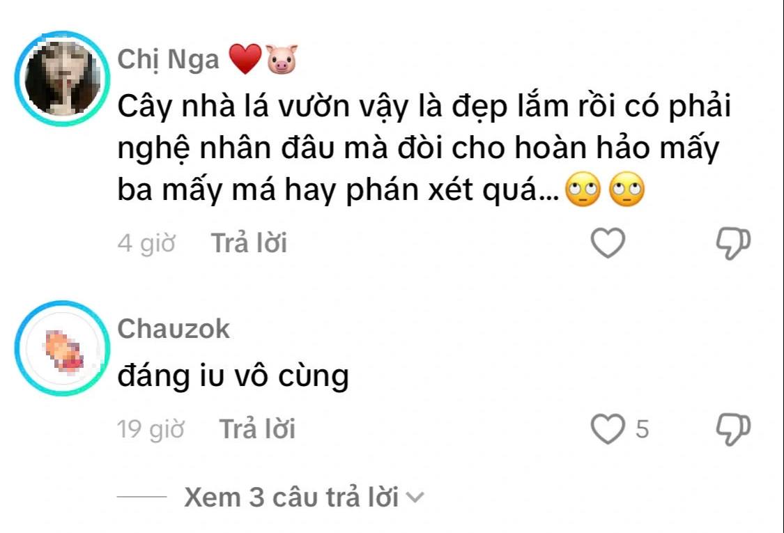 'Hoa hậu rắn' ở Phú Yên gây chú ý- Ảnh 2.