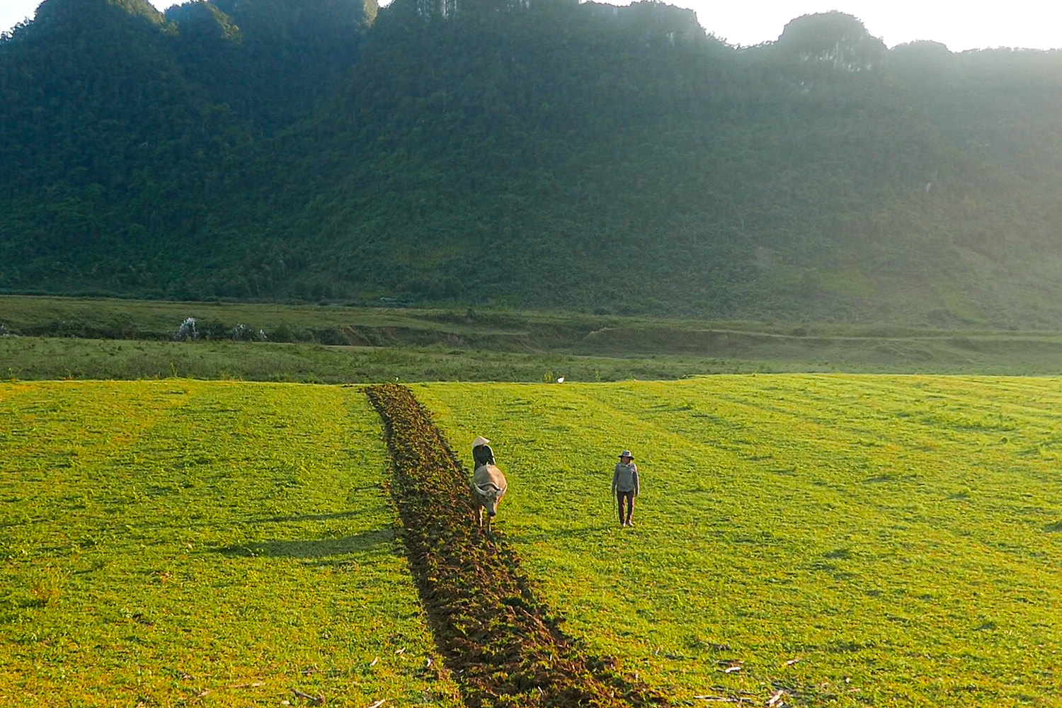 Cuộc sống lao động của người dân Tân Hóa.