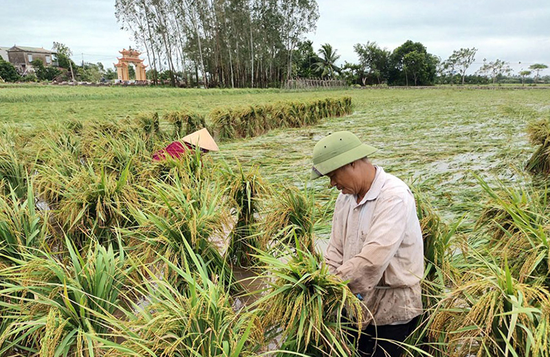 Ảnh minh họa. Nguồn Internet