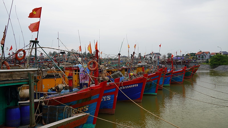  Đồng chí Phó Chủ tịch Thường trực UBND tỉnh Đoàn Ngọc Lâm kiểm tra tại Khu neo đậu tránh trú bão tại Cừa Phú, xã Bảo Ninh (TP.Đồng Hới).