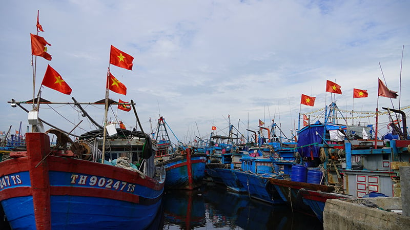 Các phương tiện tàu thuyền của ngư dân Quảng Bình đã vào nơi trú tránh an toàn.