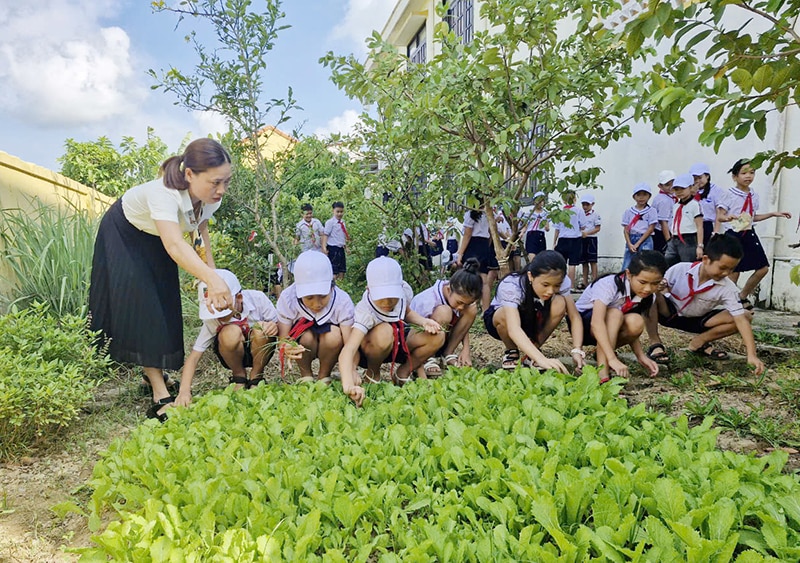 Giáo viên và học sinh Trường tiểu học Xuân Thủy chăm sóc khu vườn trải nghiệm.