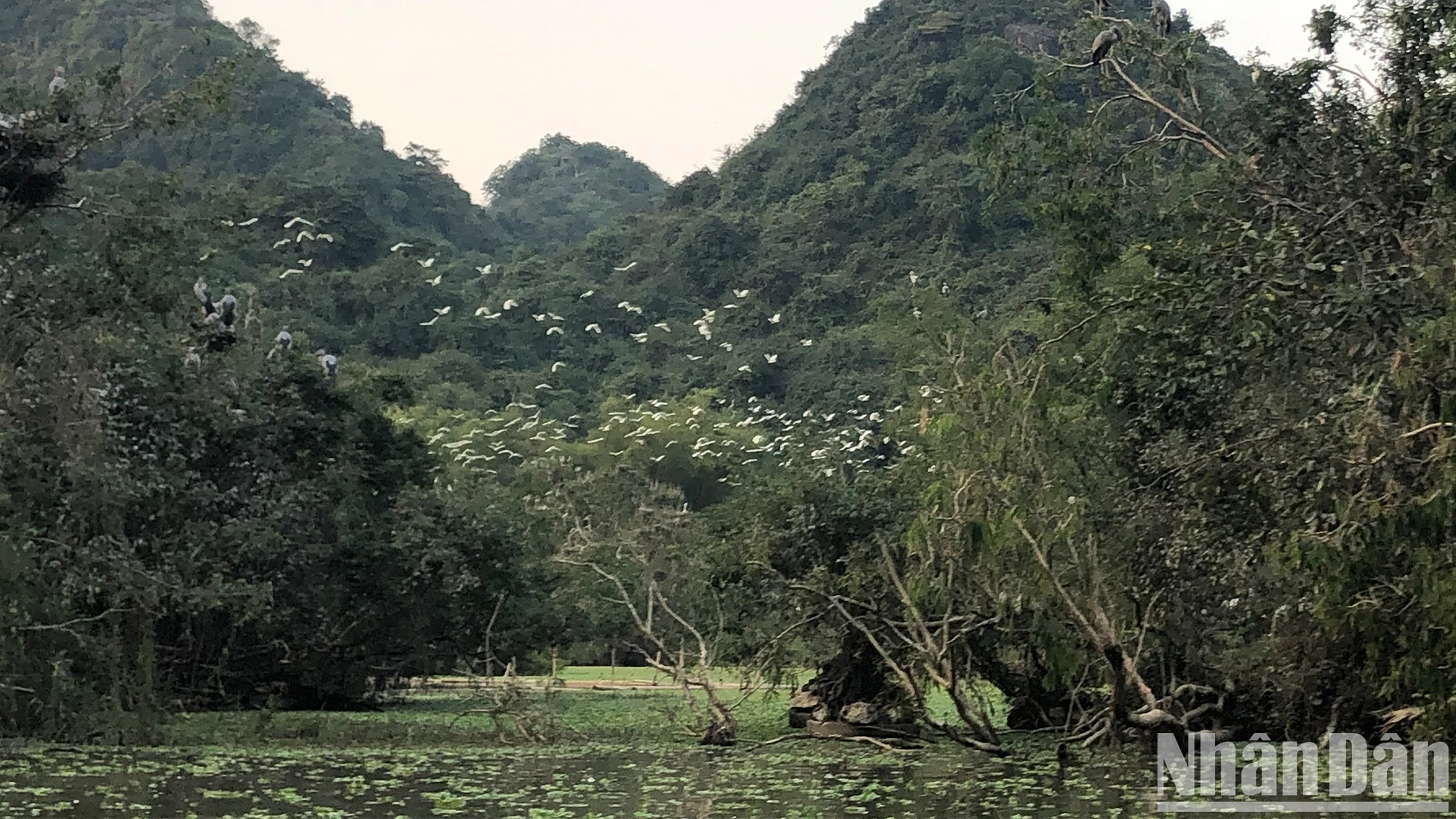 Đưa Ninh Bình trở thành trường quay quy mô lớn ảnh 5