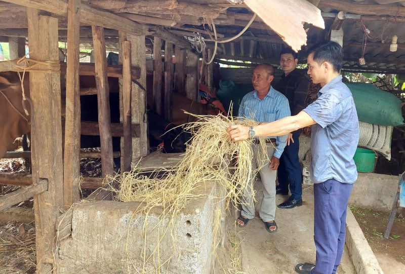 Vốn vay tín dụng chính sách giúp anh Trần Văn Là có cơ hội đầu tư chăn nuôi, sản xuất.