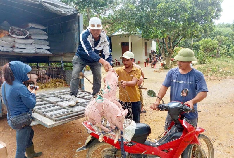 Cộng đồng dân cư ở bản Bạch Đàn, xã Lâm Thủy được hỗ trợ sinh kế nhờ thực hiện ERPA hiệu quả.