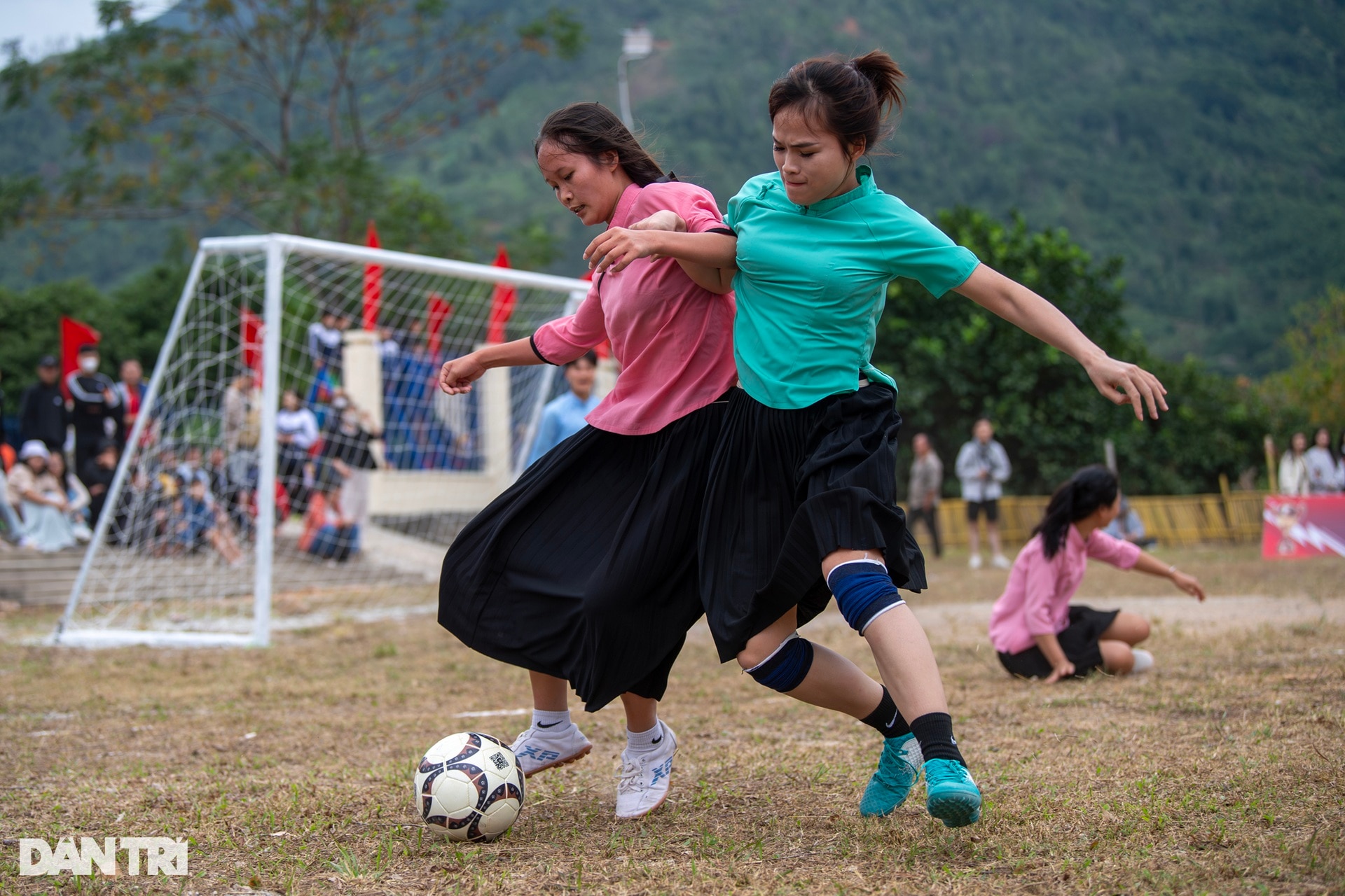 Hoa núi tranh tài - 3