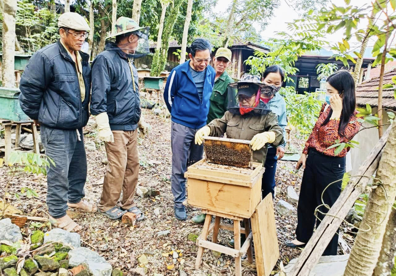 Các hợp tác xã về nuôi ong cần được hỗ trợ, tư vấn về thương mại điện tử.