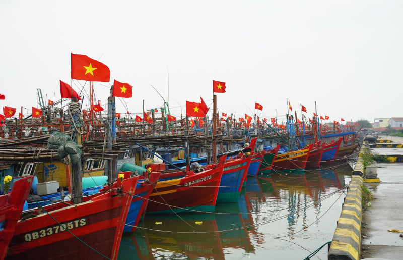 Rợp trời cờ Tổ quốc tung bay trên những con tàu cá của ngư dân tại cửa sông Roòn (Quảng Trạch).