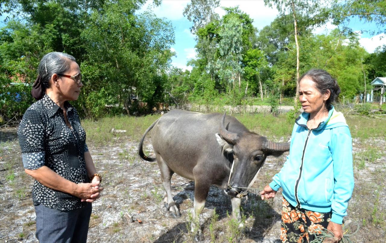 Le mérite de cette politique revient aux habitants de la commune de Tam Thang (Tam Ky). Photo : Q.VIET