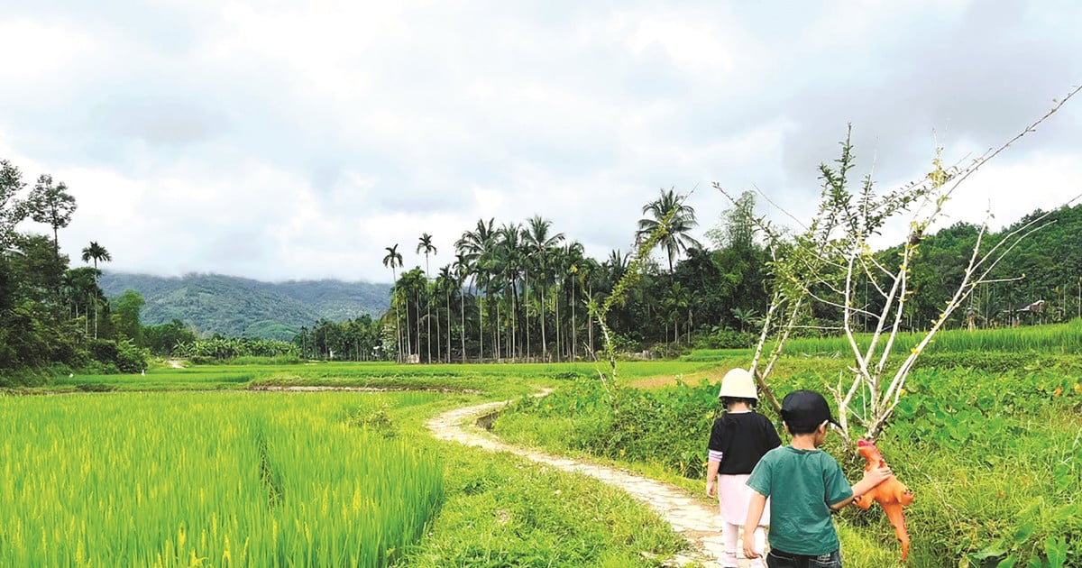 "Locomotora" para el turismo rural en Quang Nam