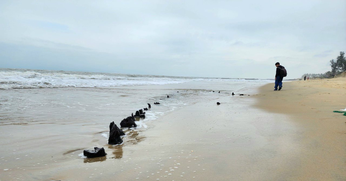 Se debe evaluar urgentemente el plan para excavar artefactos sospechosos de ser antigüedades en la costa de Hoi An