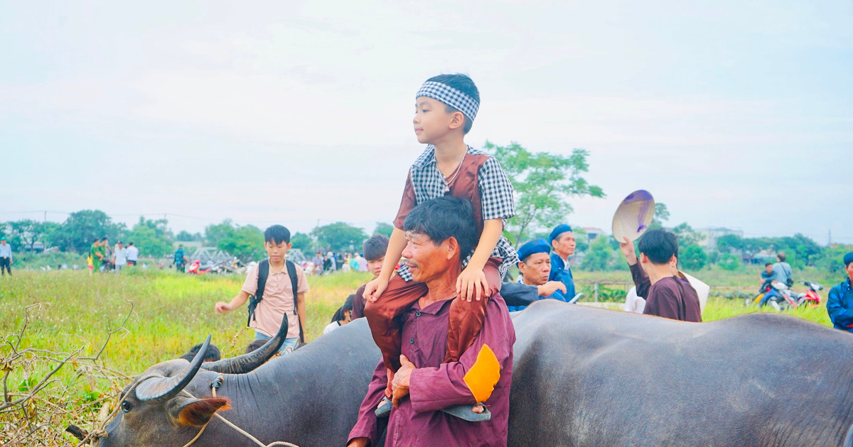 ទិដ្ឋភាពសំខាន់ៗនៃពិធីបុណ្យអ្នកគង្វាលភូមិ Phong Le