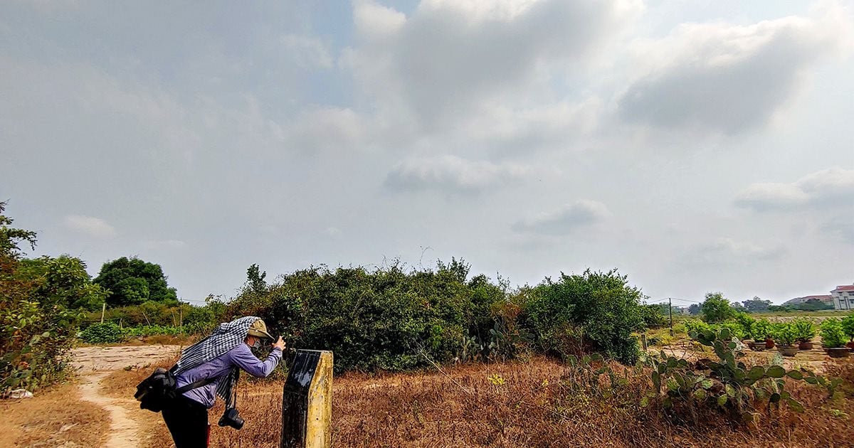 Untersuchung und Vermessung archäologischer Stätten in Hoi An