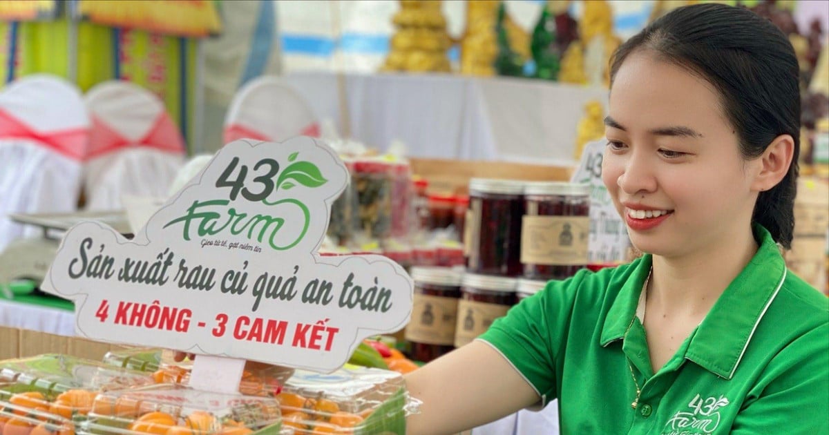 Markenaufbau für landwirtschaftliche Produkte aus Quang Nam