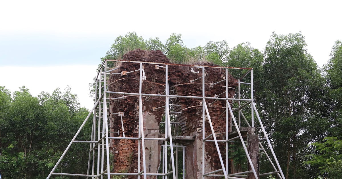 Wann wird das Denkmal nicht mehr mit Moos bedeckt sein?