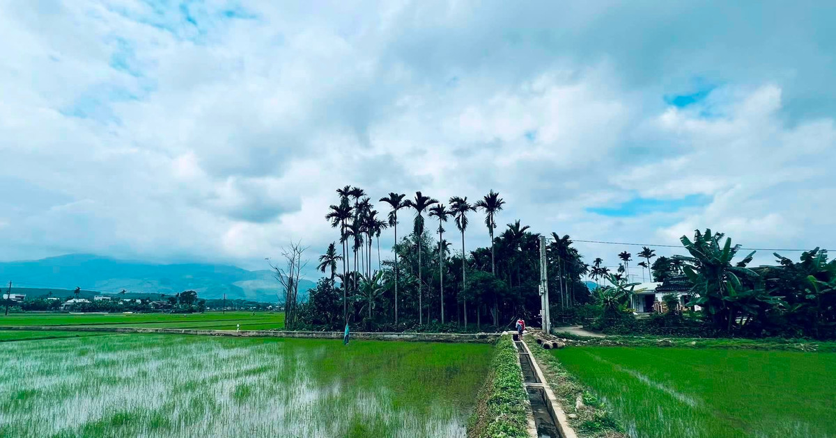 Chuyện từ làng vô hình