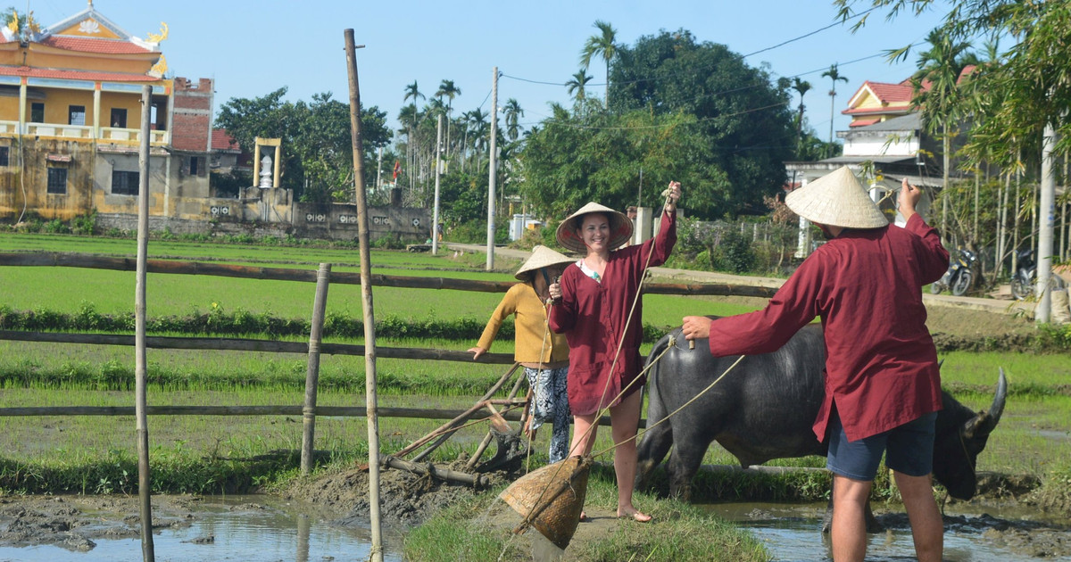 Quang Nam organisera une conférence internationale sur le tourisme rural.