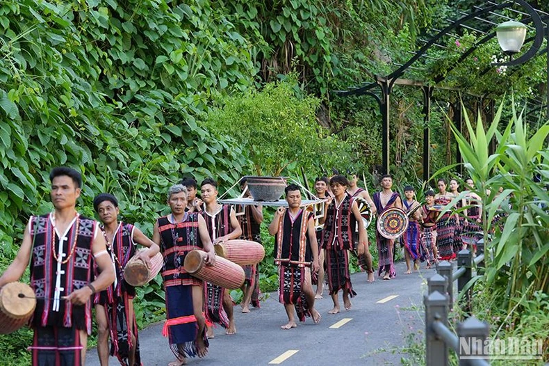 ពិធីបុណ្យម្ទេស Rieu នៅតំបន់ភ្នំ Quang Nam ទាក់ទាញភ្ញៀវទេសចរយ៉ាងច្រើនកុះករ រូបថត ២