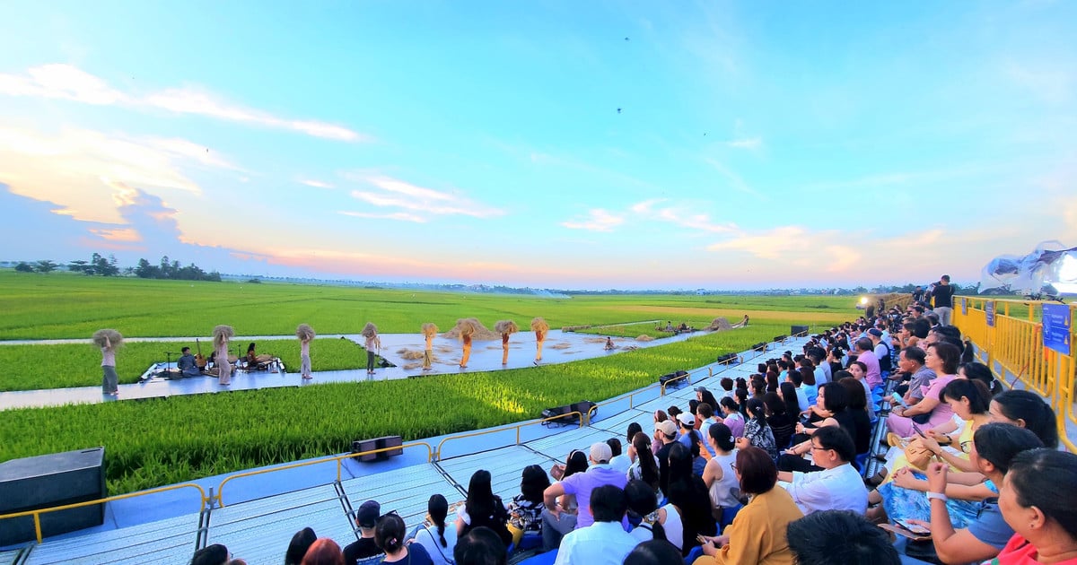 Impressions of the play "Straw" on the rice fields in Hoi An