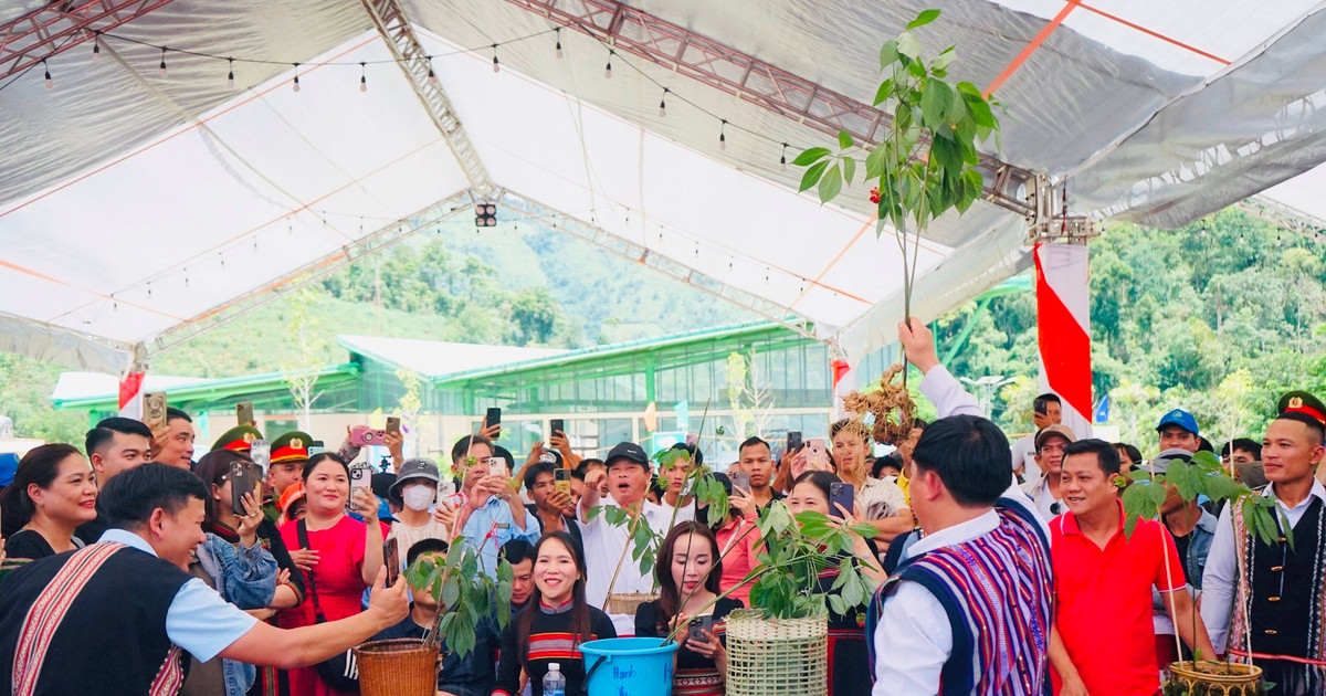 Tourismus in Quang Nam sucht nach Möglichkeiten durch Festivalreihe