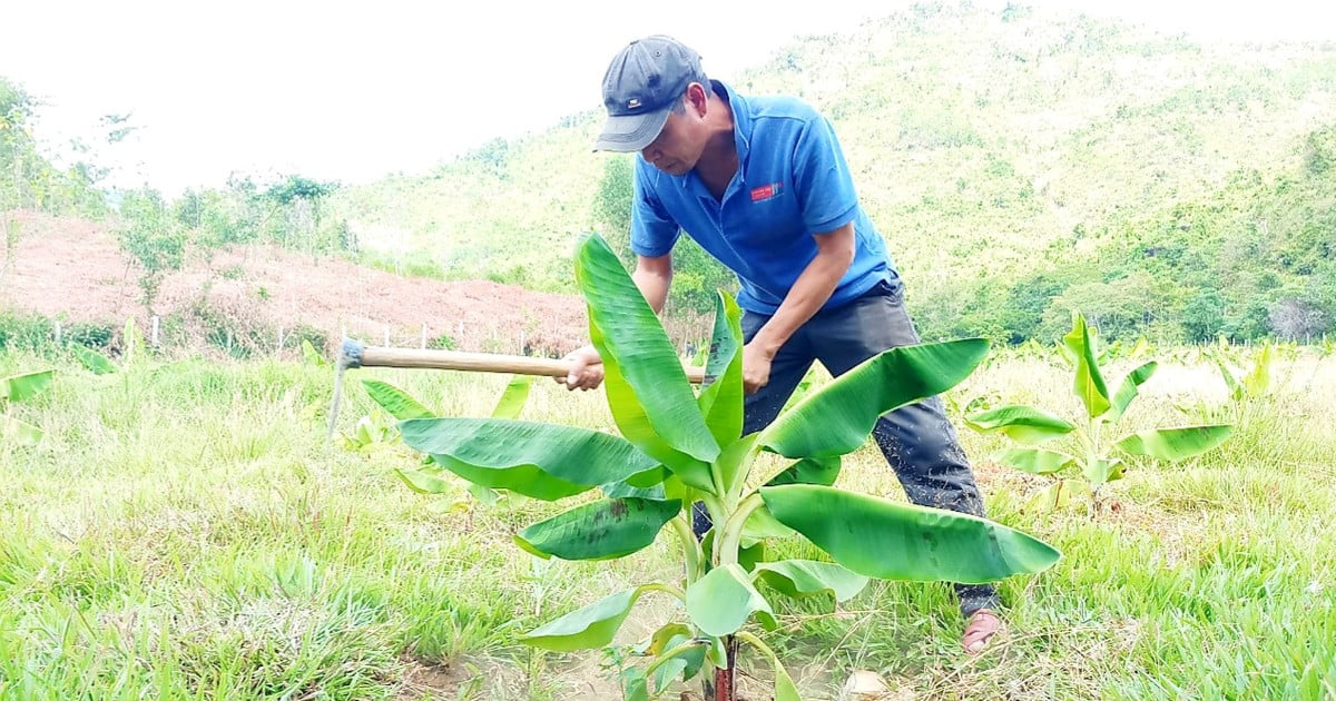 Đừng thấy khó mà buông...