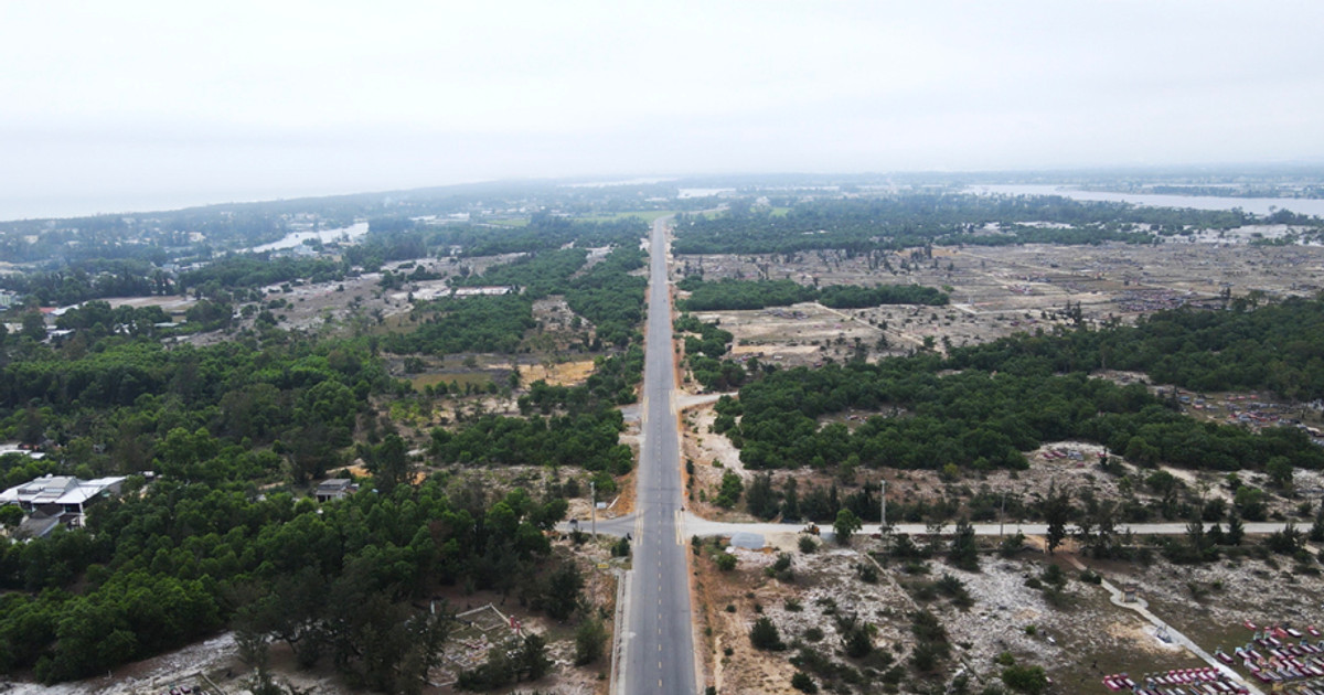 Quang Nam cambia el propósito de utilizar 8,47 hectáreas de bosque protector para construir carreteras