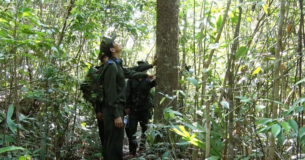 Vỡ kế hoạch giải ngân