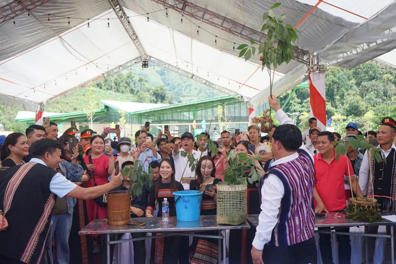 Sâm Ngọc Linh - Trung tâm của mọi ánh nhìn. Ảnh: T.T