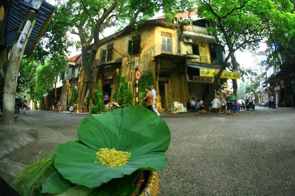 The scent of Hanoi green rice. Photo: Internet