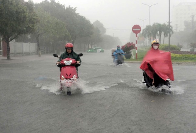 Quảng Nam cho học sinh nghỉ học tránh mưa lũ ảnh 2