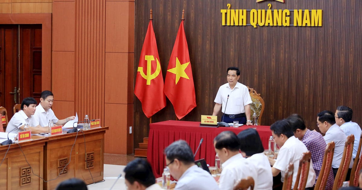 Diálogo con el Departamento de Recursos Naturales y Medio Ambiente, Presidente del Comité Popular de la provincia de Quang Nam