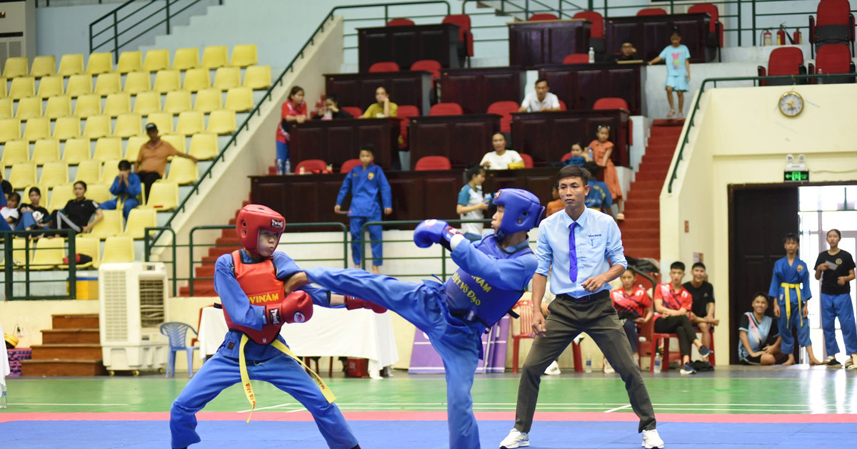 Quảng Nam đăng cai Giải vô địch Vovinam toàn quốc năm 2024