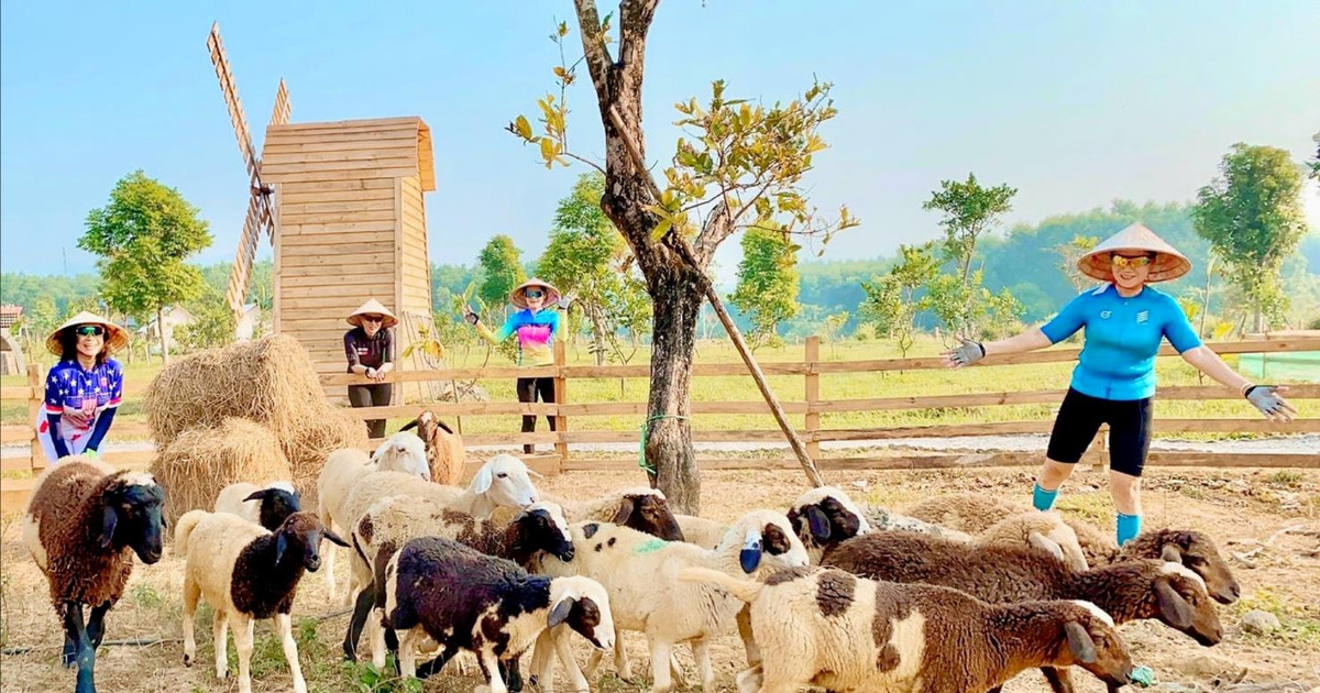 Vọc tay vào ruộng đồng