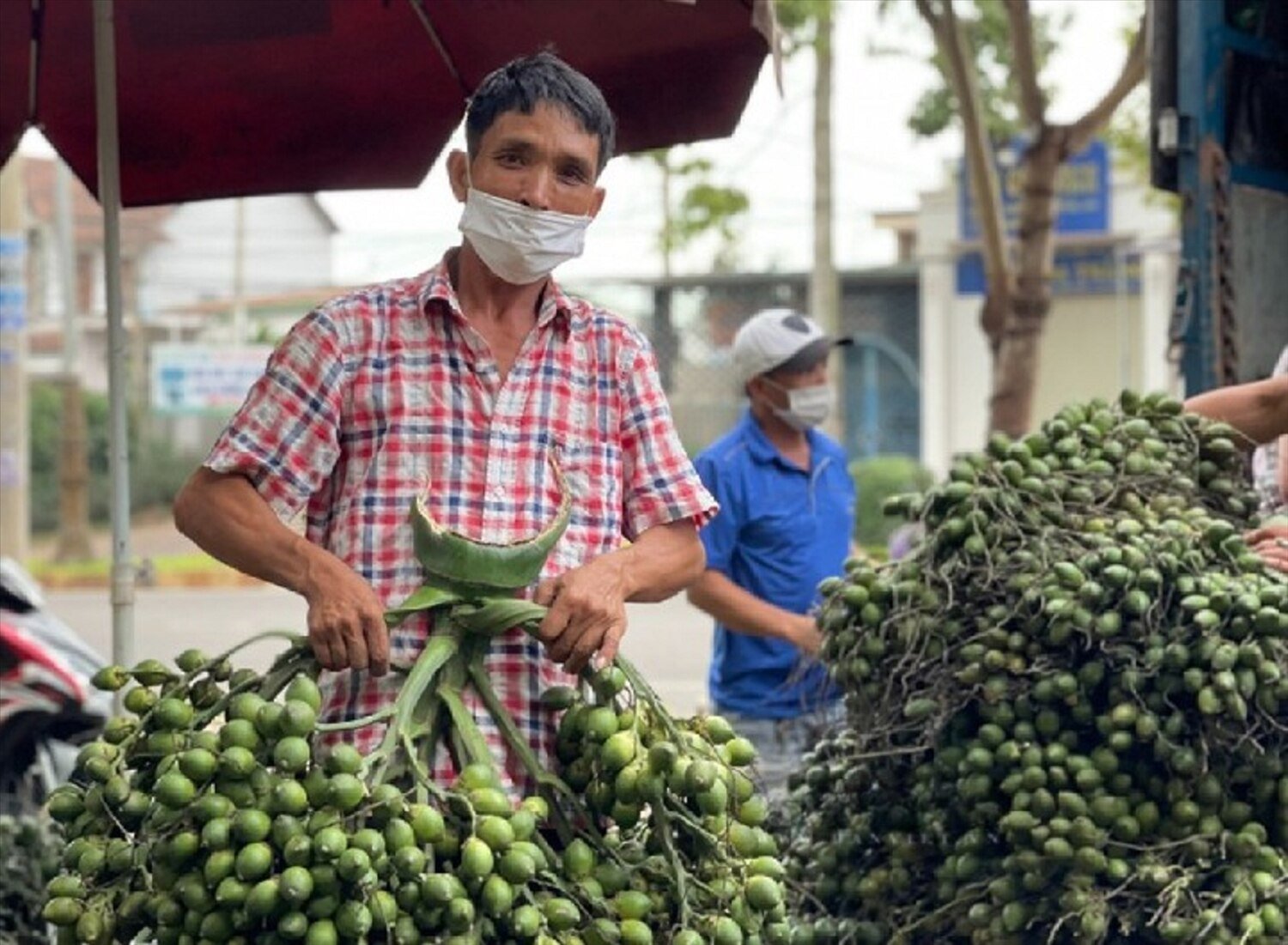 Nhiều vựa cau ở Quảng Ngãi được thương lái thu mua với giá 80.000 - 85.000 đồng/kg.