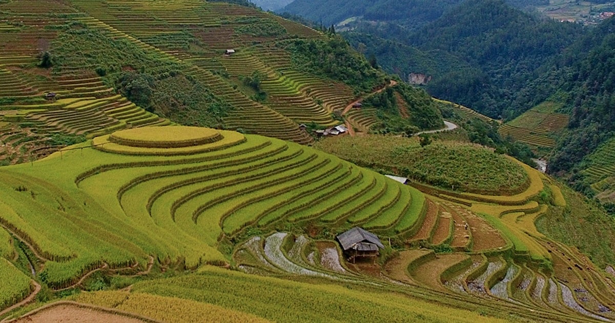 มื้ออาหารต้นฤดูใบไม้ร่วงใน Mu Cang Chai