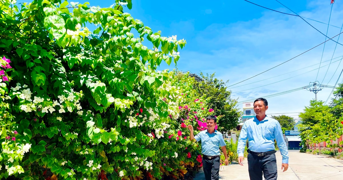 Tận tụy với quê hương