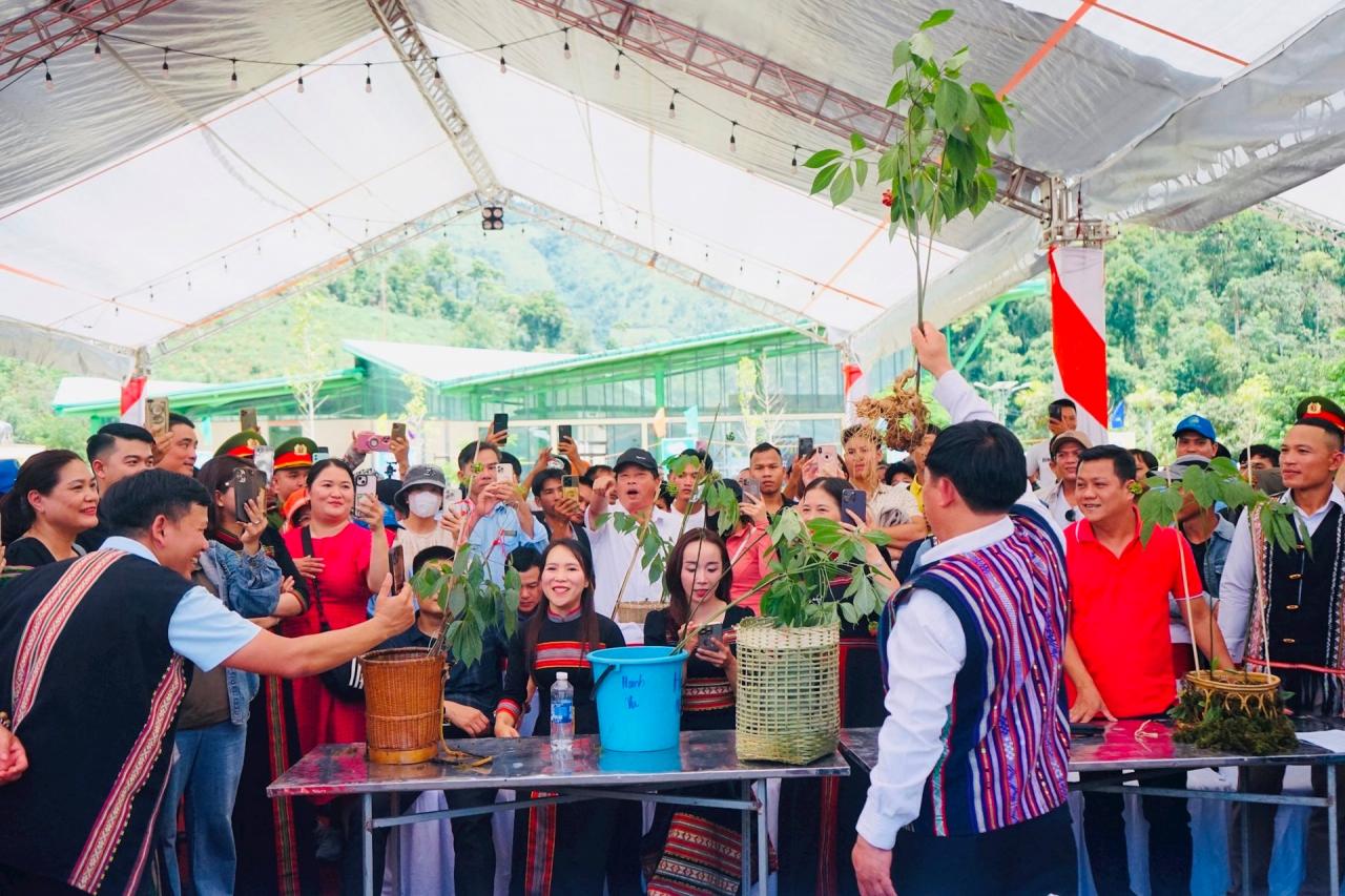 Selon les statistiques du comité d'organisation, le 6e Festival du ginseng Ngoc Linh en 2024 a attiré environ 6 000 visiteurs de l'extérieur de la province et internationaux à Nam Tra My. Photo : Q.T