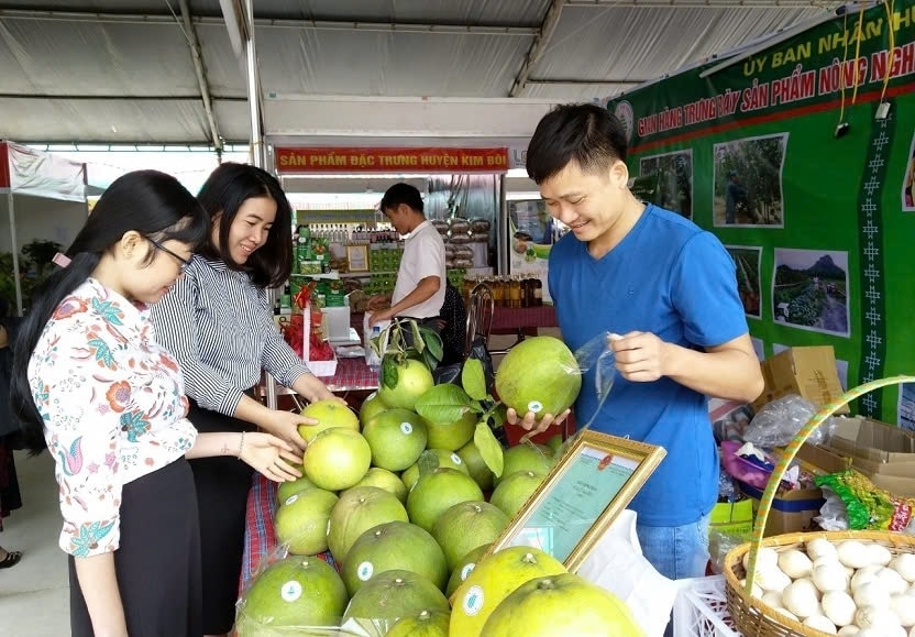 Một số sản phẩm nông sản chủ lực của tỉnh đã tạo được thị trường ổn định ở trong nước và xuất khẩu sang thị trường một số nước.