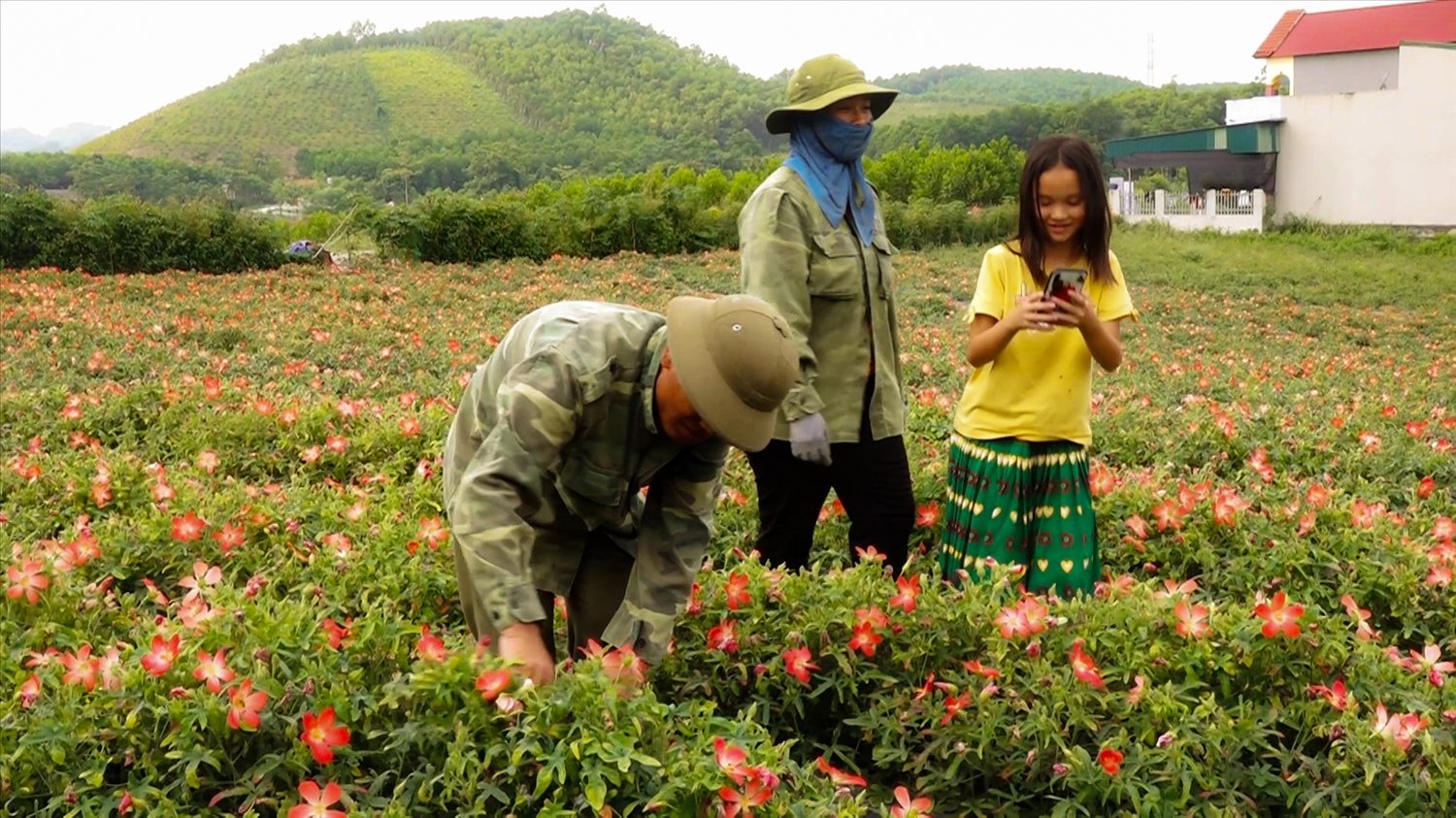 Phần lớn LĐ người DTTS chủ yếu sản xuất trong lĩnh vực nông nghiệp. (Trong ảnh: Đồng bào dân tộc Mông ở xóm Đồng Tâm, xã Động Đạt, huyện Phú Lương được giao đất nông nghiệp để sản xuất)