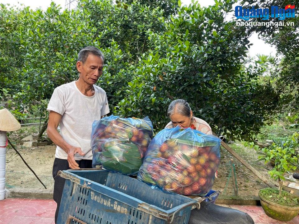 Theo thống kê của huyện Nghĩa Hành, toàn huyện có gần 800ha cây ăn quả các loại, trong đó có hơn 40ha cây chôm chôm. Năng suất của cây chôm chôm đạt hơn 80tạ/ha, lợi nhuận hơn 91triệu đồng/ha/năm.