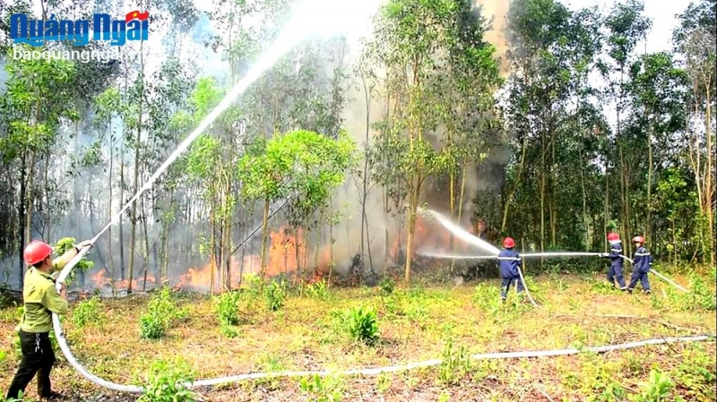 ចូលរួមទប់ស្កាត់ និងប្រយុទ្ធប្រឆាំងនឹងភ្លើងឆេះព្រៃយ៉ាងសកម្ម