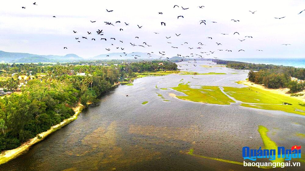 Đầm An Khê - một địa điểm nằm trong Di tích Quốc gia đặc biệt Văn hóa Sa Huỳnh. Ảnh: TL